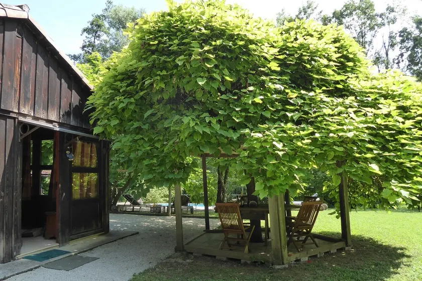 Chalet Fagarè, Pool, Sauna, Prosecco Hills - Image 1
