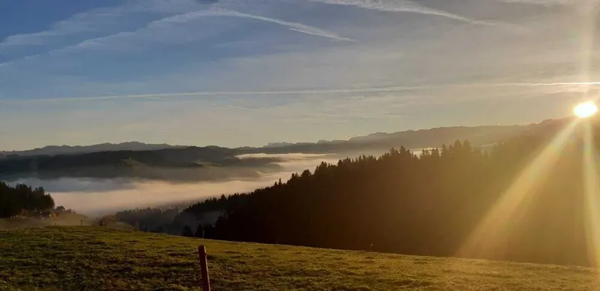 Eggelried wo die Natur zu Hause Ist - Image 1