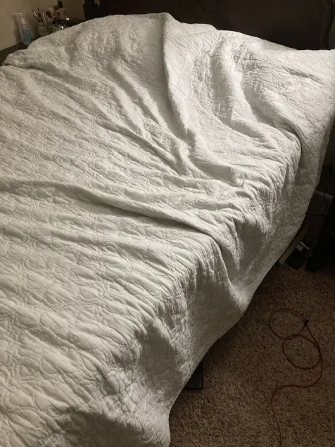 New to the area? Stop by and see the most recent bachelor pad on the scene - Image 1