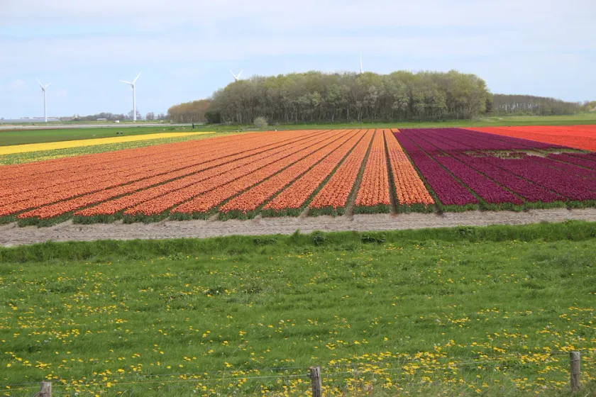 Buitenplaats 109 - Image 1