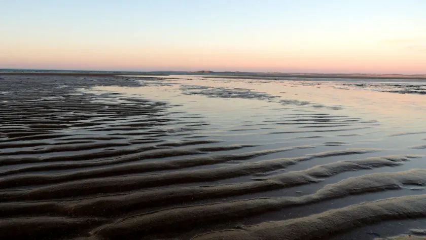 The Cottage-100m to beach, dog friendly - Image 1