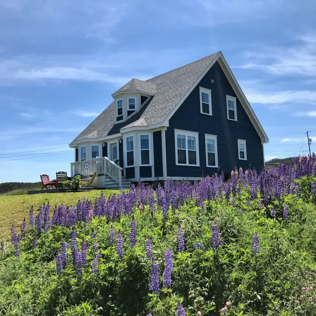 Stunning Ocean View Vacation Home, Trinity NL - Image 1