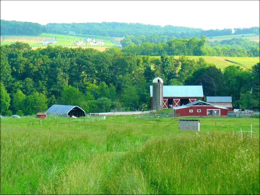 112-Morgen-Schäferei-Gästehaus: Tiere, Natur, Landschaft - Image 1