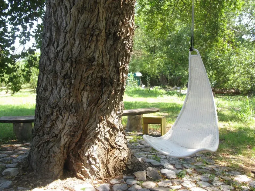 Former farmers' hut in the shade of century-old poplars - Image 1