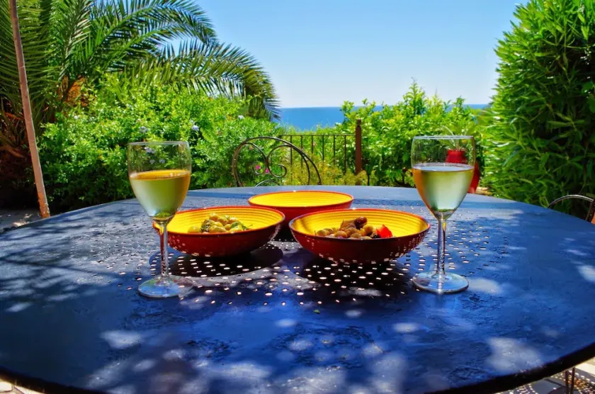 Facing the sea, charming house with a garden and terrace. Direct access to the sea - Image 1