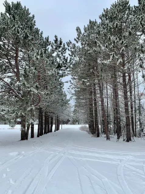 Porcupine Place- Remodeled 3 bedroom in Upper Peninsula's \"Pure Michigan\" - Image 1