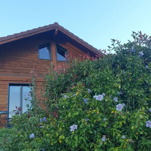 Chalet Bois Cosy - Climatisé - Piscine privée - Image 1