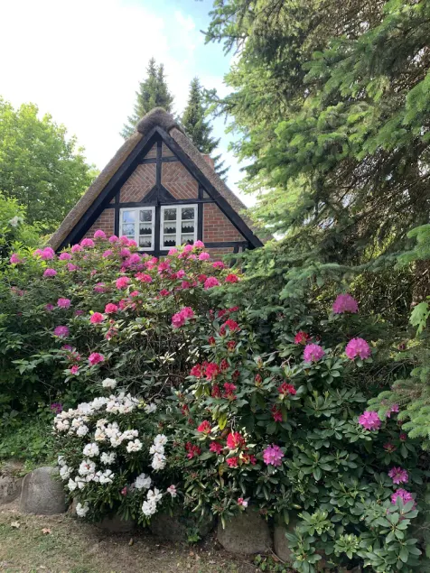 Thatched roof house - Heath village St. Dionys near Lüneburg-https://youtu.be/xg4TJK1gvxU - Image 1