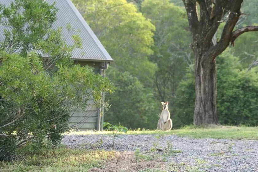 The Folly is a beautiful 2 bedroom holiday home with a log fire and fire pit. - Image 1