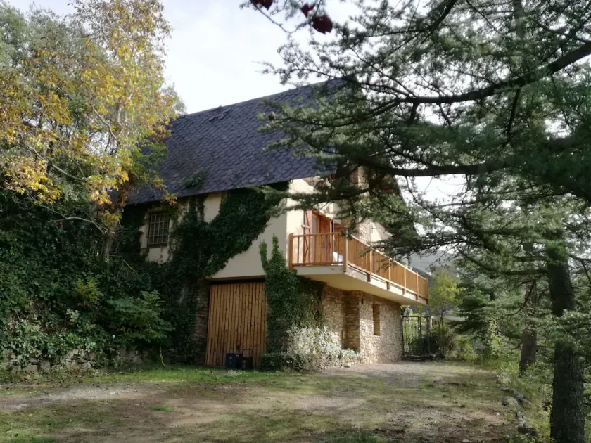 CASITAEN AV SKOGEN AV SORT - Image 1