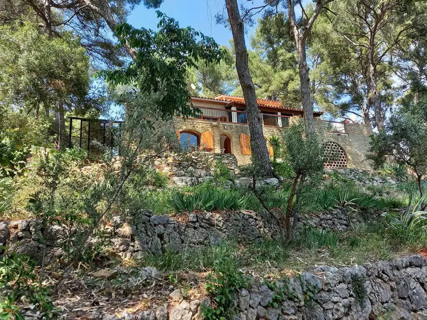 LA Maison Dans LES Pins - Image 1