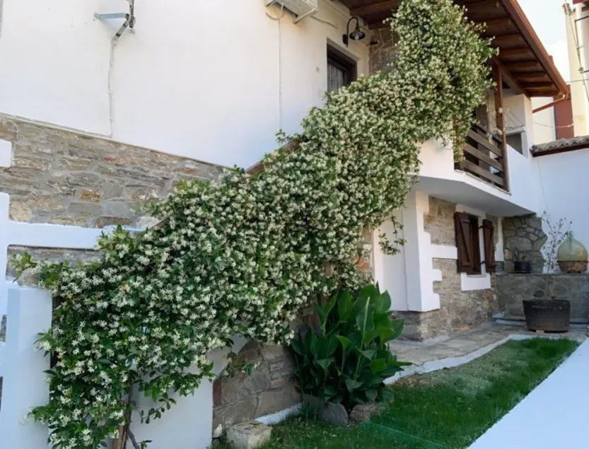 Apartment in Agios Nikolaos near Beach - Image 1