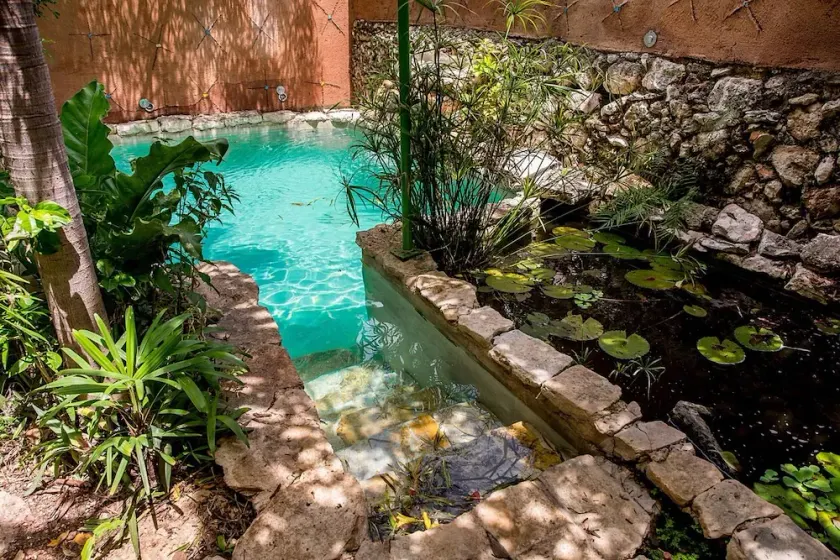 Casa de los Xolos - Majikal B&B - Image 1
