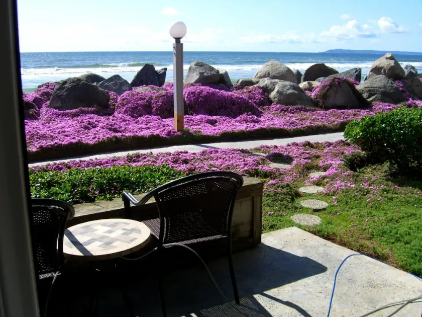 Beach Front Condo ~ Så nära vattnet kan du känna det ~ 30 + DAGS RABATT !!! - Image 1