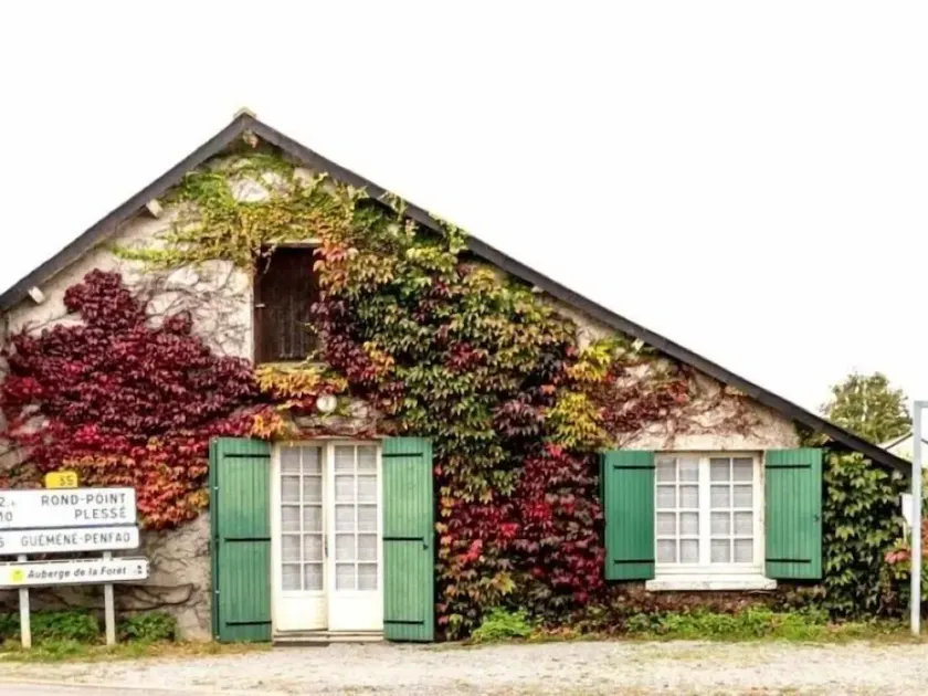 Casa acogedora en el campo con jardín, Wifi y actividades cerca del bosque - Image 1