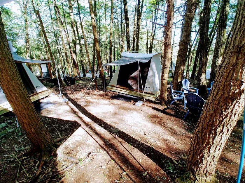 Glamping, family fun, pet friendly - Image 1
