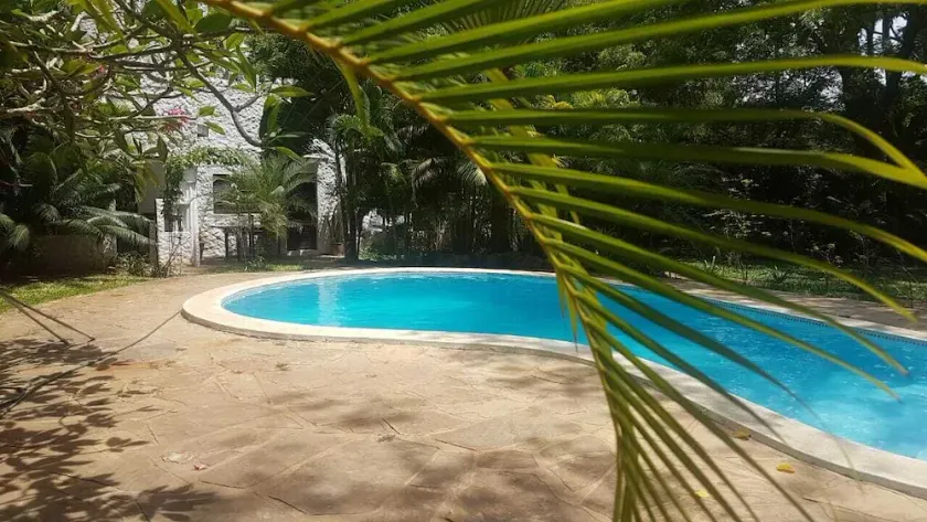 Chameleon Villa with pool - Image 1