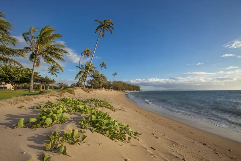 Maui Sunset # A-117 1Bd / 2Ba, face à l'océan, vue sur l'océan, rez-de-chaussée, pour 4 personnes - Image 1