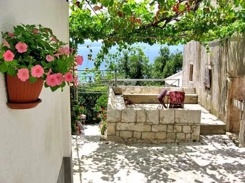 House Antun - Image 1