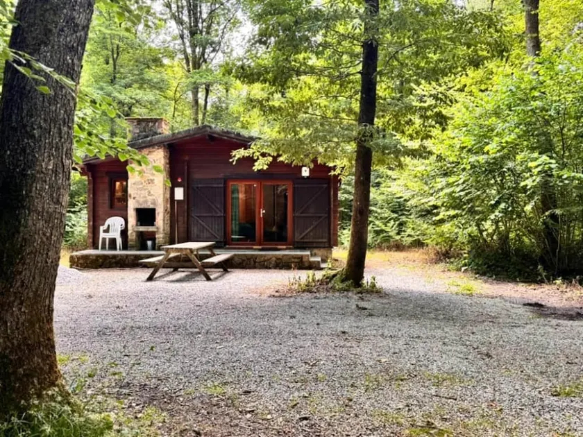 Woodland chalet in Namur - Image 1
