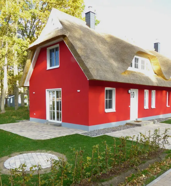 quiet thatched roof house, close to the dune forest, sauna, fireplace, WiFi, 2 bedrooms - Image 1