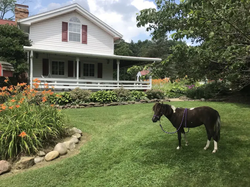 Restaurierten historischen Bauernhaus mit Teich und Tiere auf dem Bauernhof Bei Mohikaner State Park - Image 1