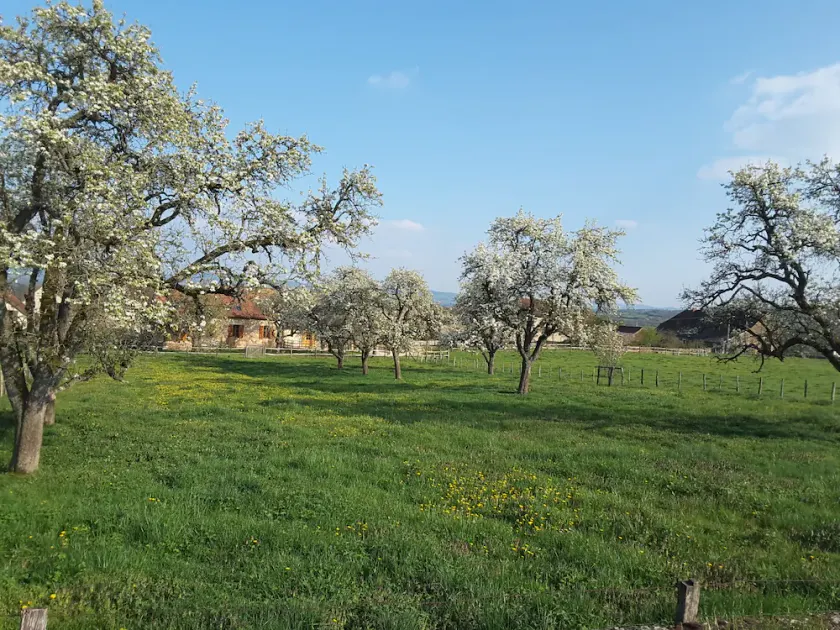 \"Les Vieux Poiriers\"—A charming vacation rental near Cluny & Taizé - Image 1