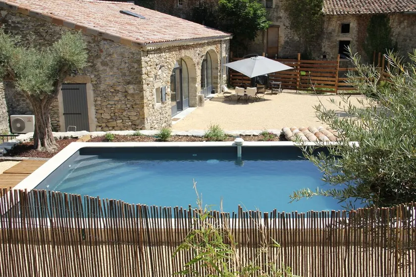Olive trees - Image 1