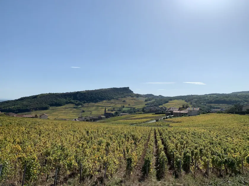 Old winegrower's house with panoramic view of the Solutré rocks - Vergisson - Image 1