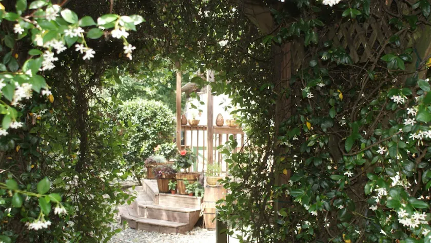 The Shebeen Un petit cottage irlandais, venez découvrir l'enchantement et la trnquilité - Image 1