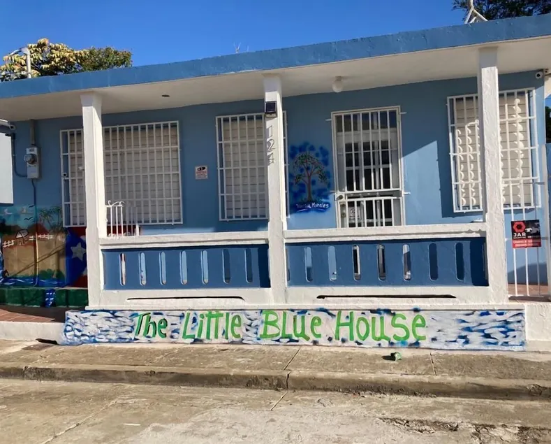 The Little Blue House - Image 1