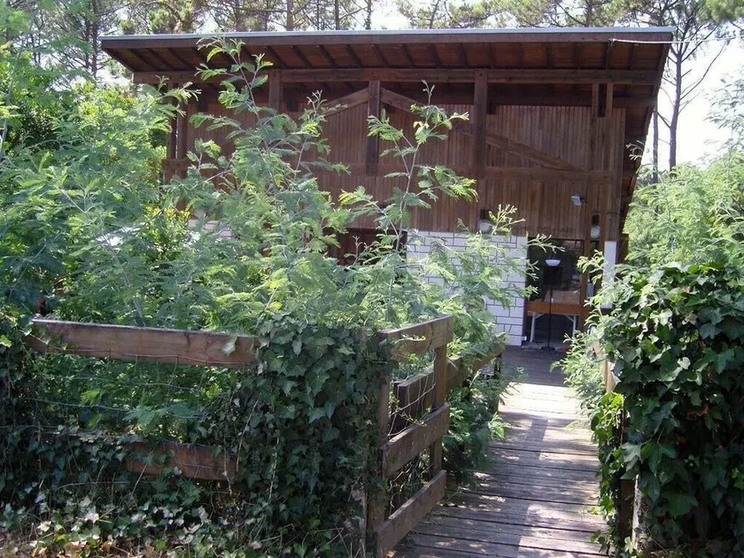 Ferienhaus / Villa - Lège cap ferret - Image 1