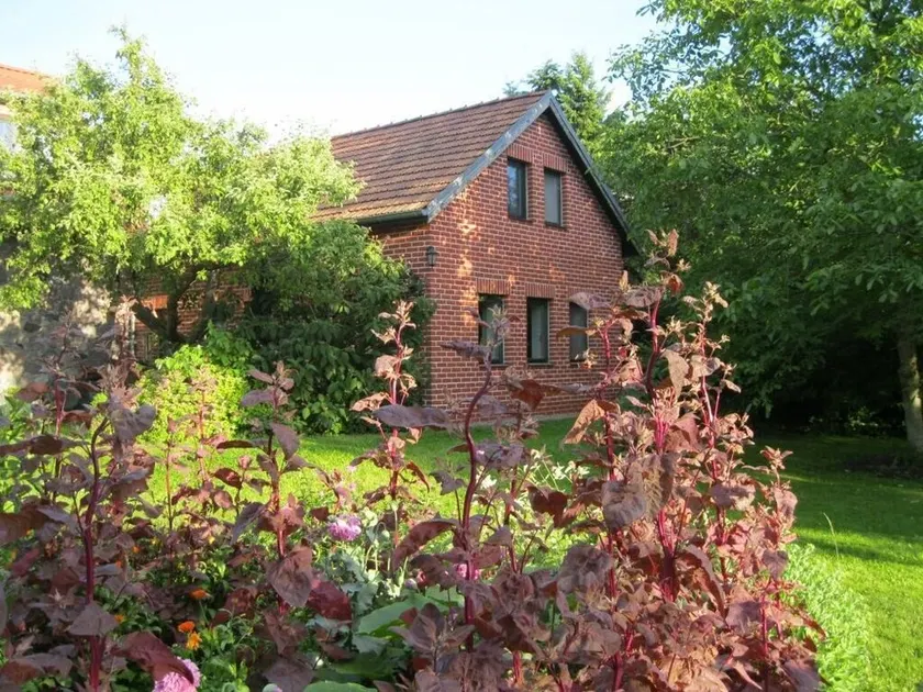 4-star apartment in rich nature, close to Berlin, sauna, garden, pet on request - Image 1