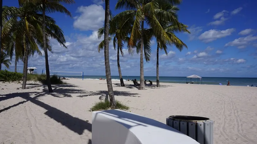 1 Bedroom  Suite with intracoastal view - Image 1