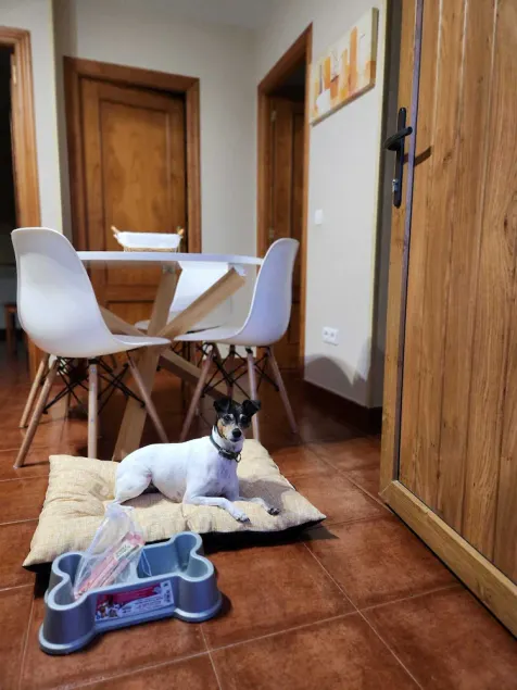 Apartamento en el campo - Image 1