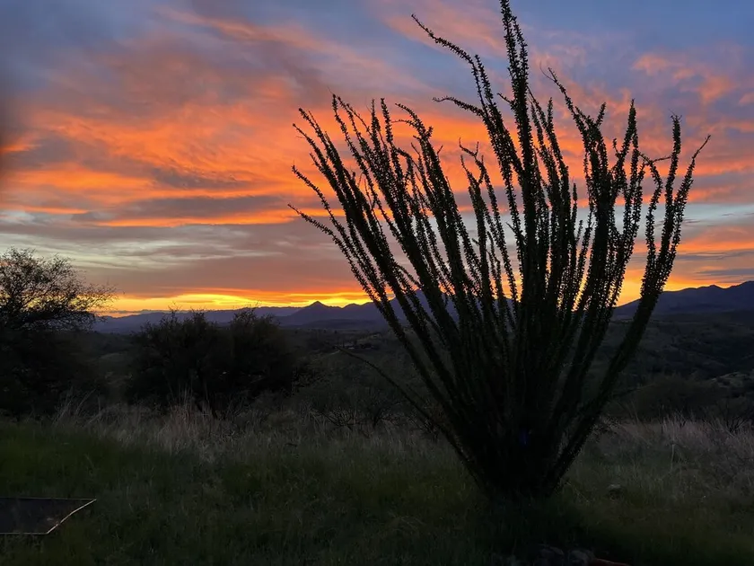 spectacular sunsets and 360 degree views - Image 1