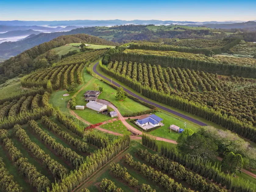 Hilltop Farm Stay: su máxima relajación - Image 1