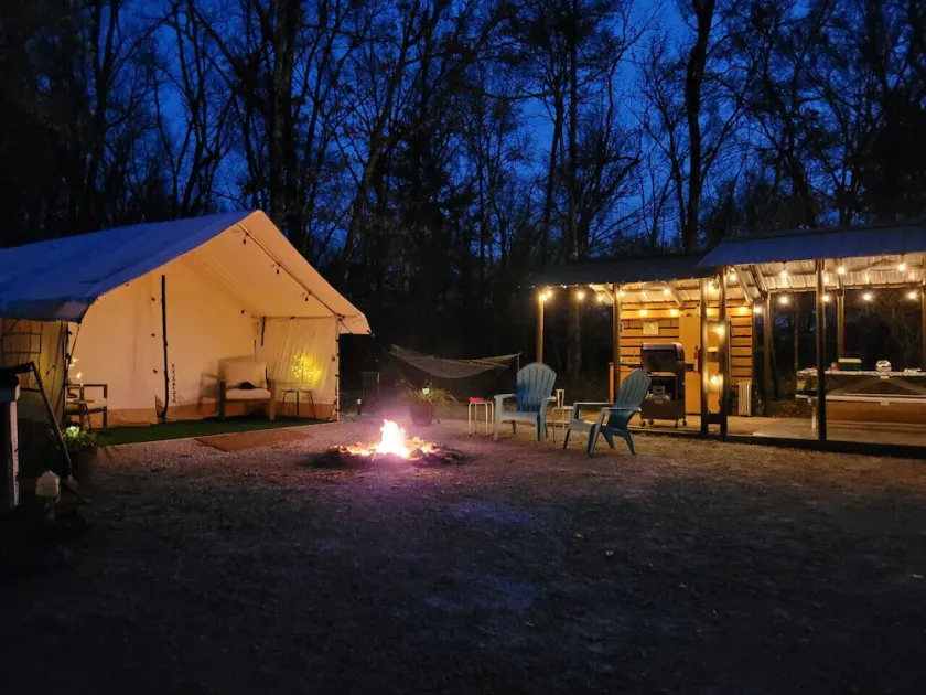 Black Fox: A Woodland Glamp - Image 1