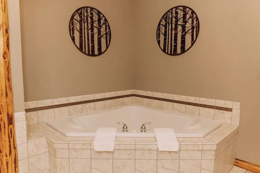 The Great Outdoors Suite: Luxury Lodge Suite in Amish Country, Ohio. - Image 1