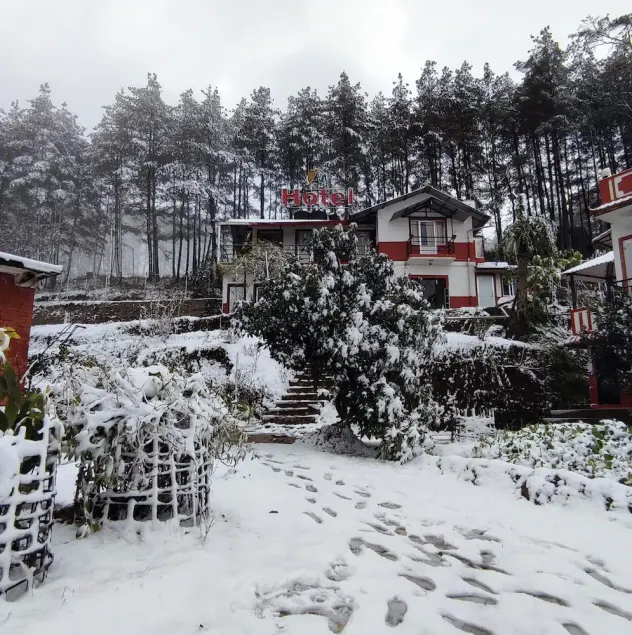 Mount Paradise Nature Stay - Image 1