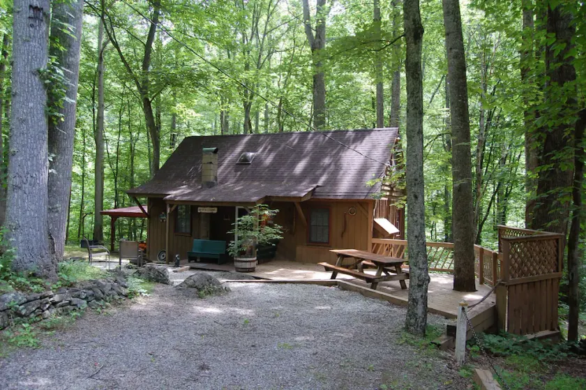 Rustic Mountain Retreat-Bear Paw - Image 1
