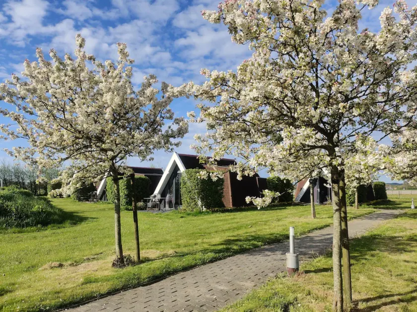 Hotelhuisje Warmenhuizen #E - Image 1