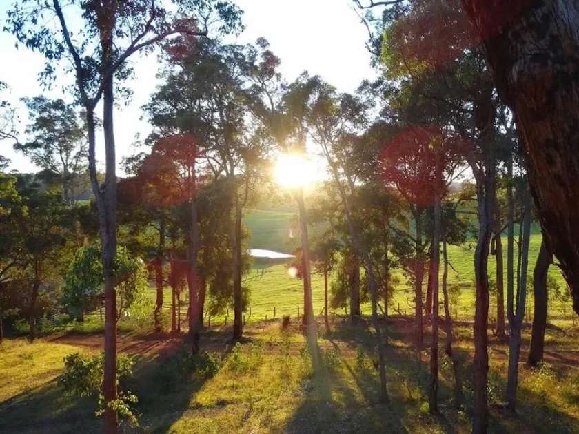 Blue Wren Retreat, Nannup - \"Resting Place\" - Image 1