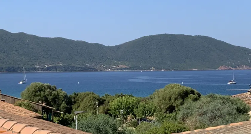 Air-conditioned sea view apartment - 100m from the beach - Magnificent Terrace - Image 1