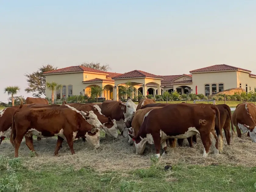 NEW Hacienda Ranch W/ Resort Style Pool - Image 1