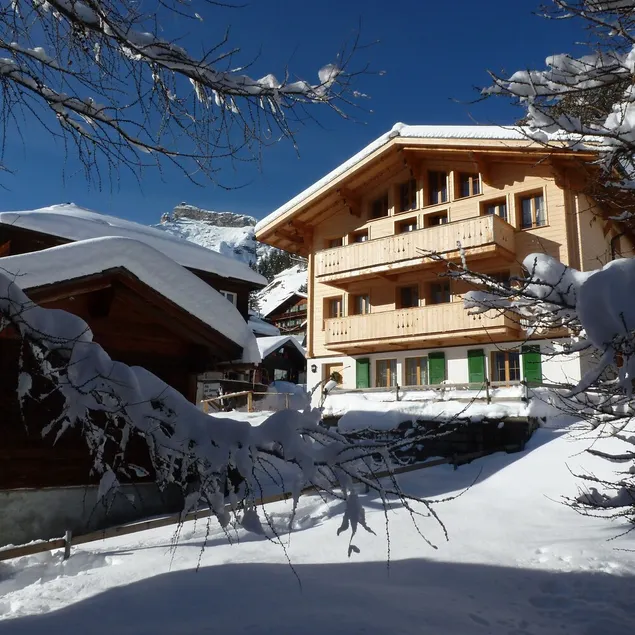 Casa de férias de verão ou esqui de luxo glorioso ou chalé de esqui em Murren - classificação de 5 estrelas - Image 1