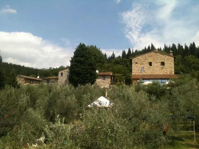 totale relax in mezzo agli ulivi panoramico vicino a firenze - Image 1