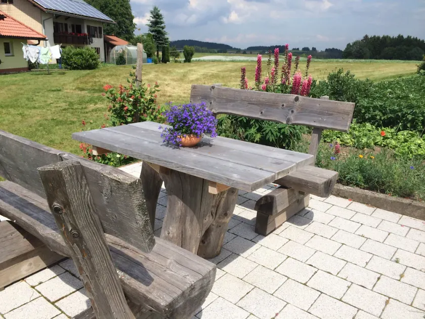 Vacation on a farm - discover and experience nature - Image 1