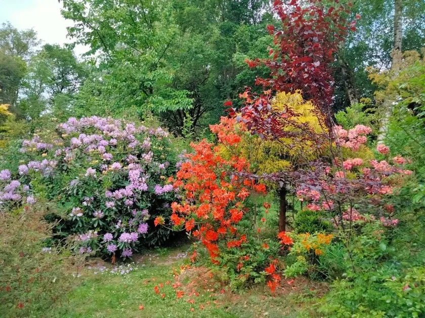 Le Gîte l'Ermitage, 4 personnes   en BROCELIANDE - Image 1