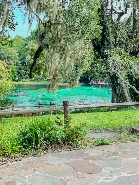 Private Room at Crystal River Retreat with Salt Water Pool - Image 1